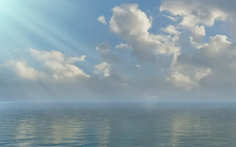 مسلسل المنظمة الحلقة 175: تصاعد الأكشن والتشويق يعيد إحياء الموسم السادس